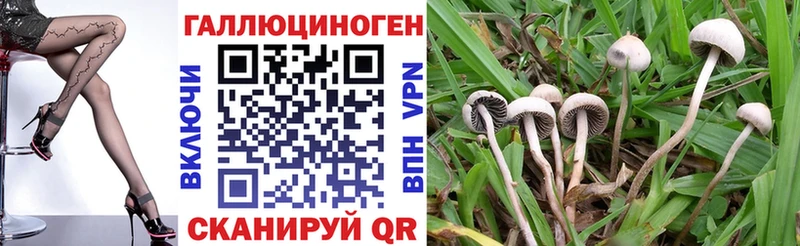 Галлюциногенные грибы мухоморы  купить наркотики сайты  Балашов 