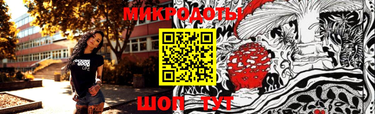 Балашов  Псилоцибиновые грибы мицелий  Вход с VPN 